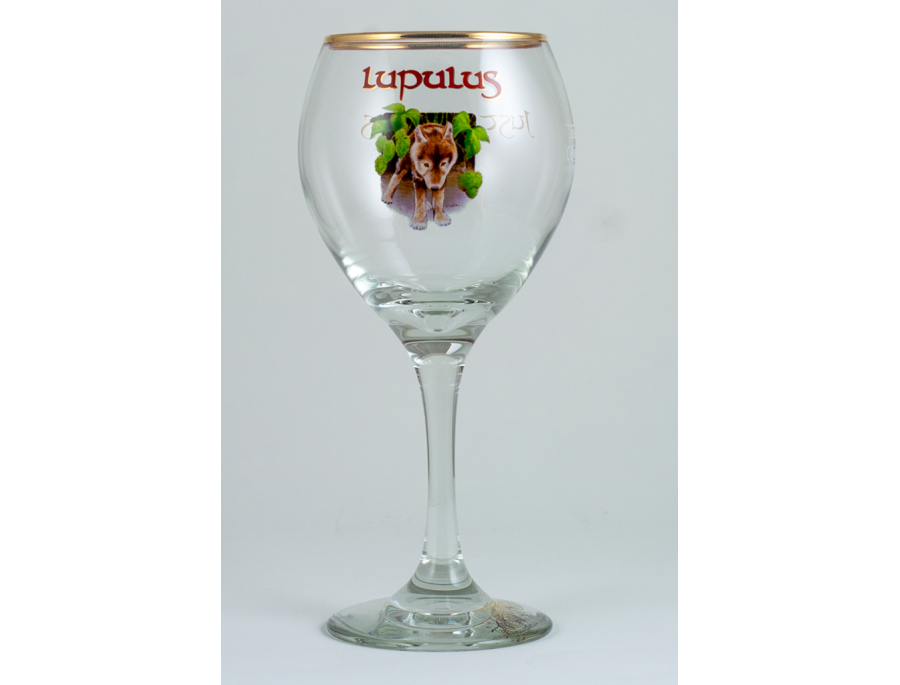 Calice Brasserie Lupulus da 25 cl