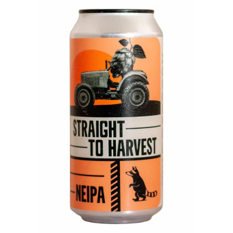 Straight to harvest - Wild Raccoon - Lattina da 44 cl