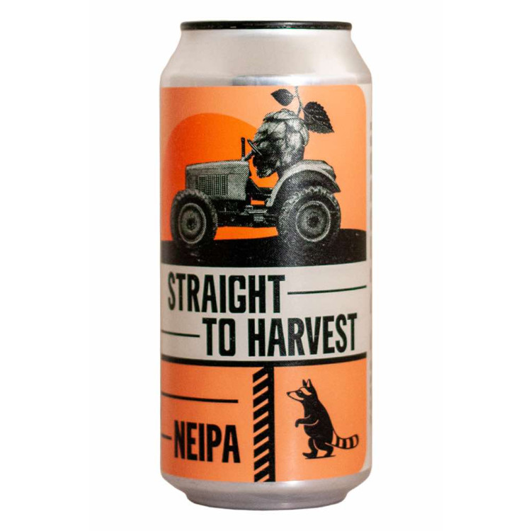 Straight to harvest - Wild Raccoon - Lattina da 44 cl Straight to harvest - Wild Raccoon - Lattina da 44 cl