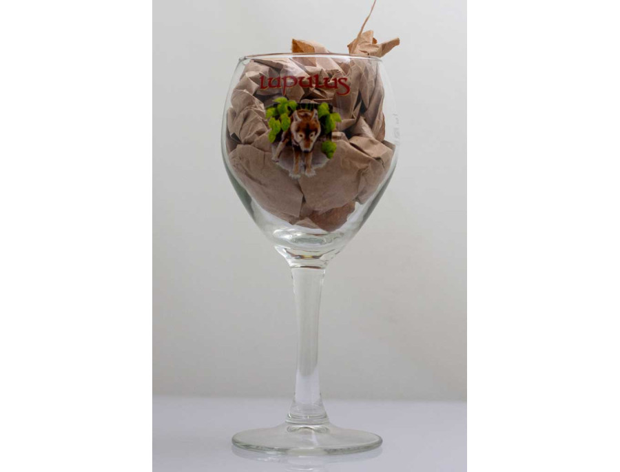 Calice Lupulus da 25 cl