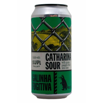 Galinha Fugitiva - Wild Raccoon - Lattina da 44 cl